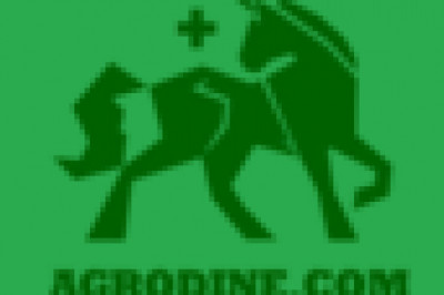 Best Collection of CBD Products