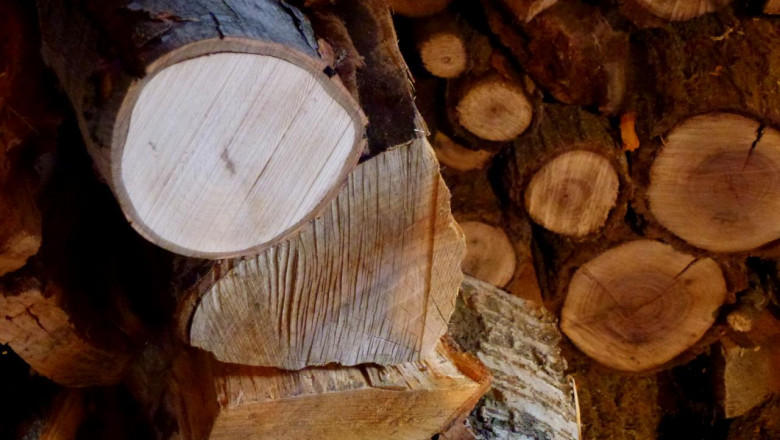 BEST FIREWOOD FOR FIRE PIT