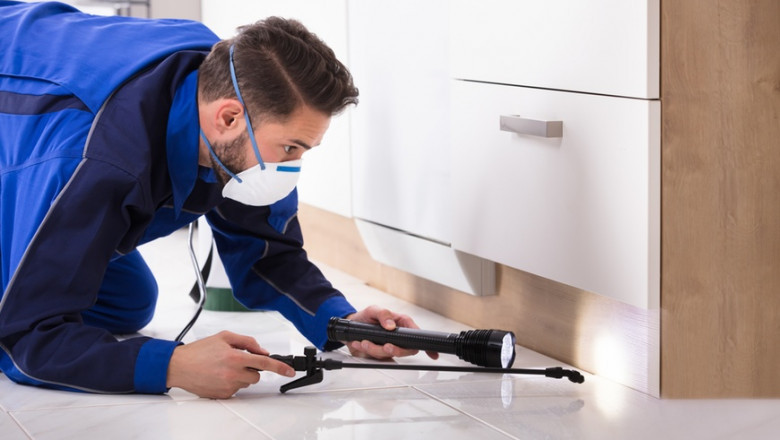 Home pest control methods without pesticides