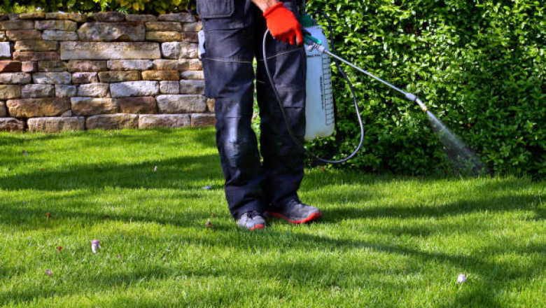 Universal Pest & Termite is super glad to offer eco-friendly natural pest control in the US