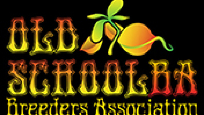 BC Purple Death Bubba Strain Canada