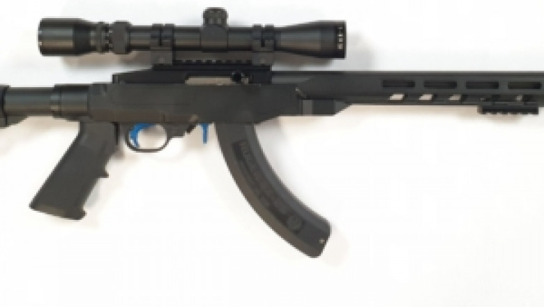 Ruger .22 chassis