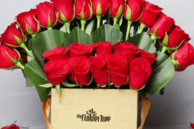 Why you should know the Positive Effect of Flowers?