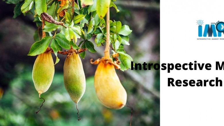 Baobab Market to Witness Significant Growth in Coming Years - Exclusive Report by Introspective Market Research