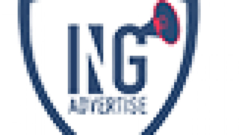 Best Branding Agency in Hyderabad - Ingenious Advertise