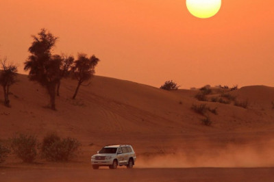 Evening Desert Safari  |  Safari