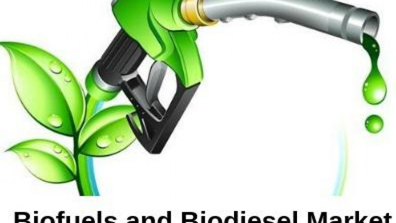 Global Biodiesel Market Size, Share, Growth, Trend & Forecast 2025