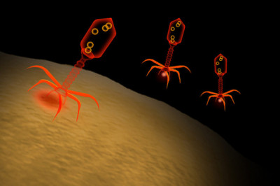 Asia-Pacific Bacteriophages Therapy Market to Witness High Growth, Dynamics, Production, Demand Analysis and Forecast 2021-2028