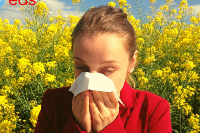 Emergency Dentist Wahiawa, HI 96786 - Professional Treatments