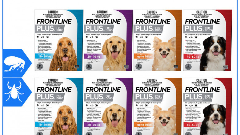 FRONTLINE PLUS for Dogs 12 Pipettes Flea and Tick Control