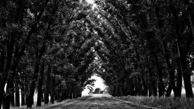 nie masz jak podjechac po samochod