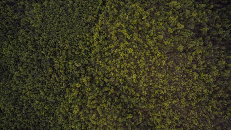 ten methods passing the pmp exam