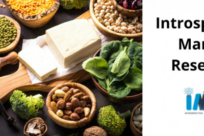 Competitive Analysis on Plant-based Protein Market 2021 | Focusing on Top Leading Vendors like Archer Daniels Midland Company (ADM) (US), Wilmar International (US), Cosucra Groupe
