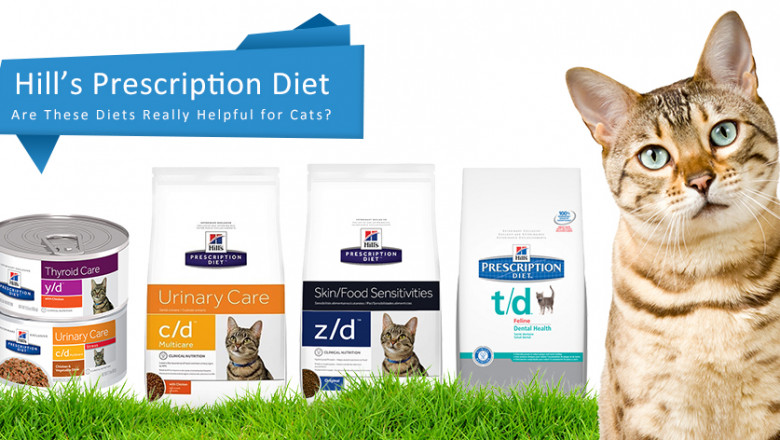 Hill’s Prescription Diet | Are These Diets Really Helpful For Cats? | DiscountPetCare