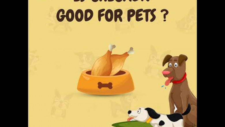 Is Chicken Good for Pets?