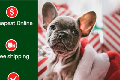 Mypetsupplies has amazing Christmas deals for your Pets
