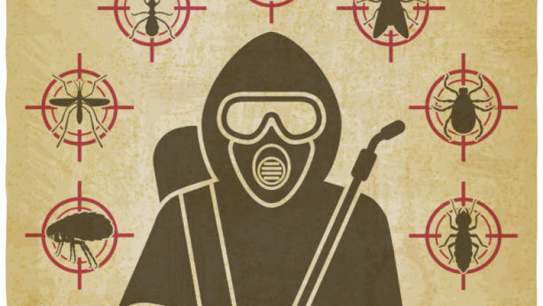 What Are the Factors While Choosing Fumigation Services?