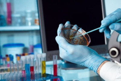 Biobanking Market 2021 - Top Manufacturers, Latest Trends, Future Prospects and Forecast 2028