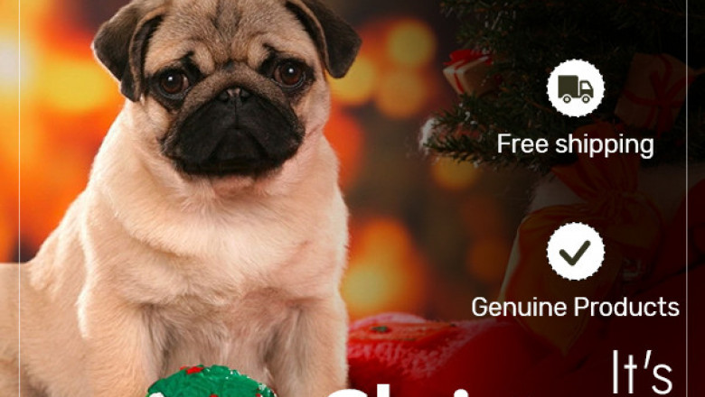 BudgetPetSupplies is offering exciting Christmas discounts for your pets