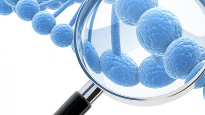 Genomic Tests Market 2021 : Report Position, Recent Developments, Trends and Future Forecast Until 2028