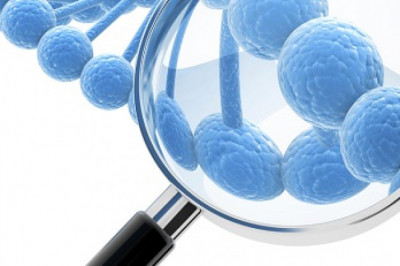 Genomic Tests Market 2021 : Report Position, Recent Developments, Trends and Future Forecast Until 2028