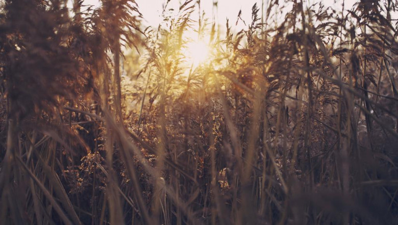 nowoczesne auta do wynajecia w olsztynie