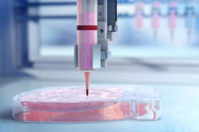 3D Bioprinting Market Overview, Trends, Opportunities, Growth and Forecast by 2026