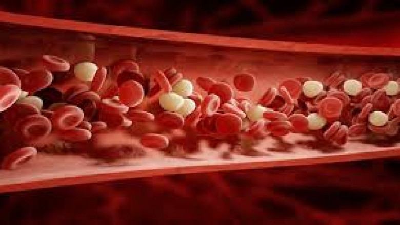 Artificial Blood: A Vision of the Future in Transfusion Medicine