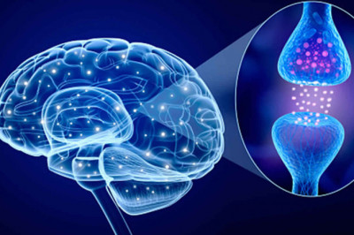 Catalepsy Treatment Market 2021 Industry Future Growth, Key Player Analysis and Forecast 2028