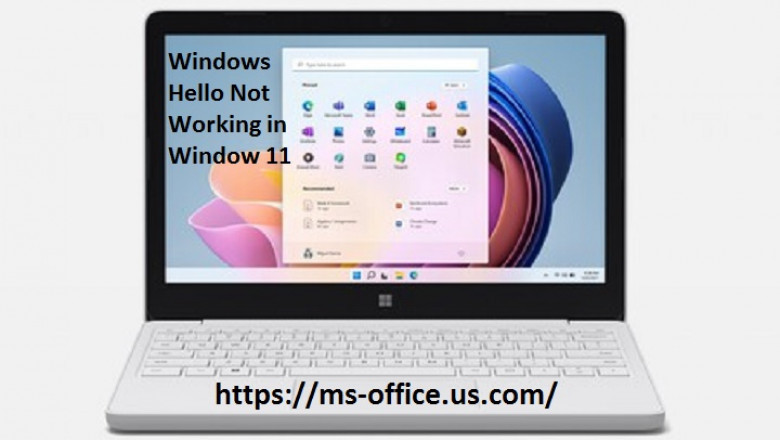 How To Fix If Windows Hello Not Working in Window 11?