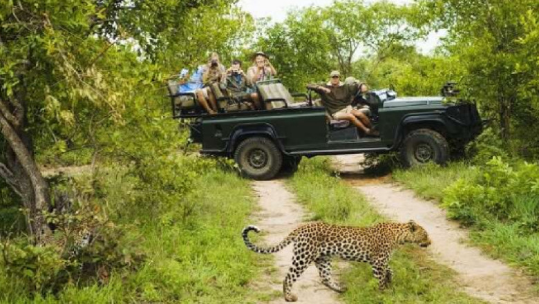 Which is the best safari camp in Rajasthan?