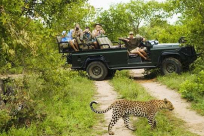 Which is the best safari camp in Rajasthan?