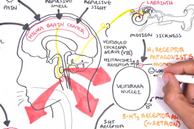 Antiemetics Market 2021 Regional Overview, Leading Company Analysis, Opportunities, and Forecast to 2028