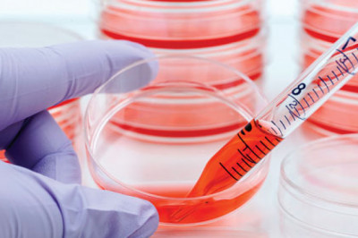 Cell Culture Market Segment Innovations Enhance the Overall Cell Culture Market