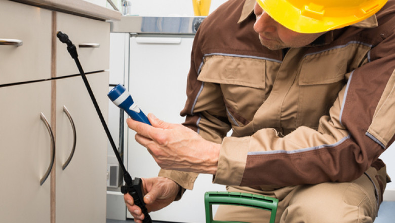 Pest Control Services near me