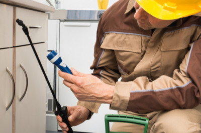 Pest Control Services near me