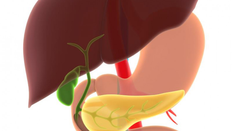 Primary Sclerosing Cholangitis Market Scope, Size, Implementation, Analytical Overview, Forecast 2030 |Conatus Pharmaceuticals, Shire Plc. And Sirnaomics