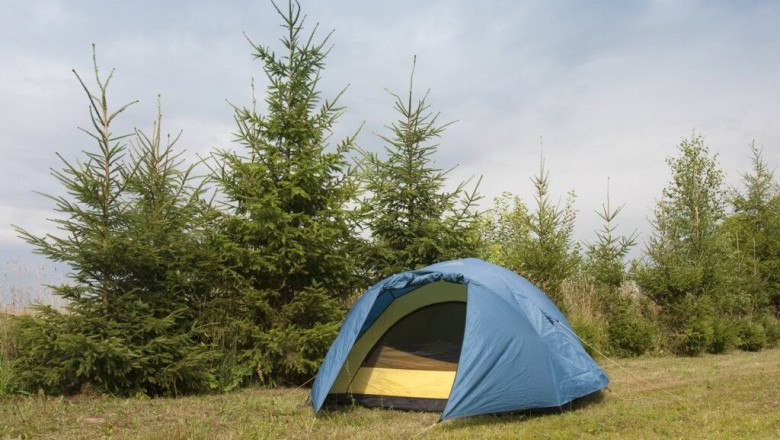 Kasauli Wilderness Camp - All Girls Group