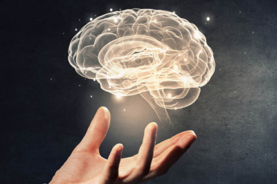 Neuroscience Market - Growth, Trends, and Forecast (2020 – 2025)