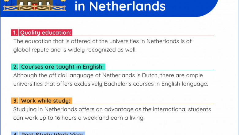 Why One Should Pursue a Bachelors in Netherlands