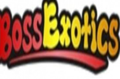 People adore 5 of the best Christmas candies.