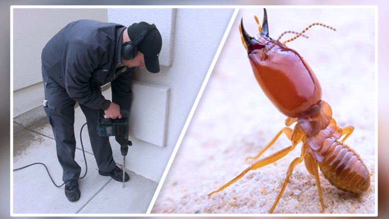Termite Control Market Is Divided Into Four Sections Based On Application: Commercial & Industrial, Residential, Agriculture & Livestock Farms, And Others