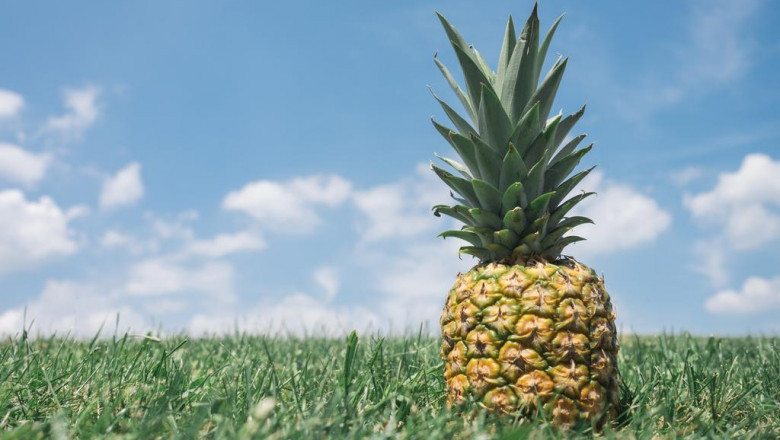 the complete review into awesome hobbies you may enjoy