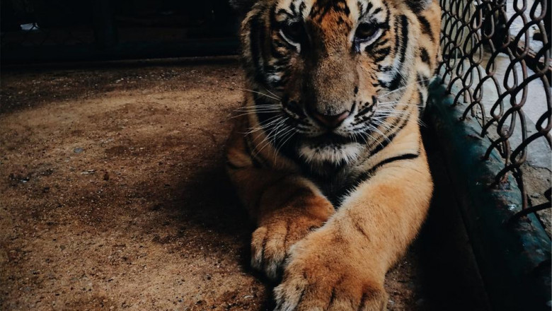 osk bocian kursy na prawo jazdy dla kazdego