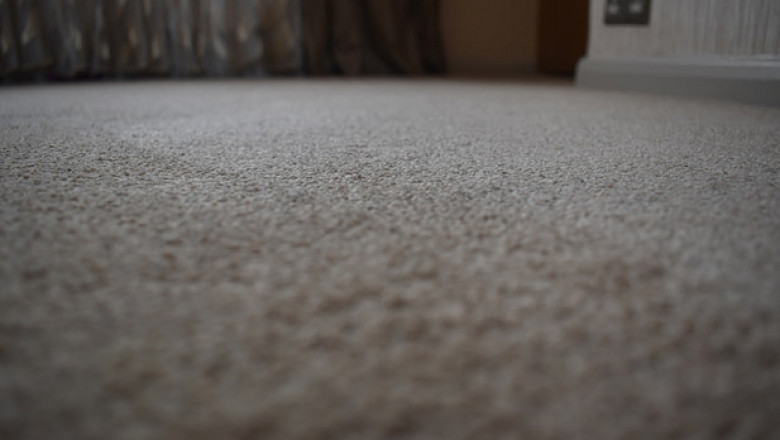 Professional Upholstery Cleaning