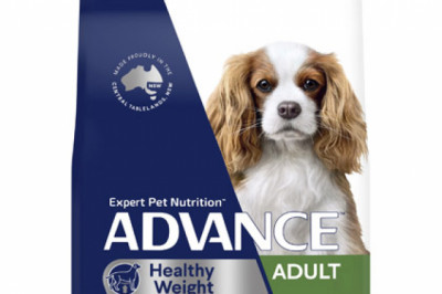 Revolution For Medium Dogs 10.1 To 20 Kg Red 3 Pack