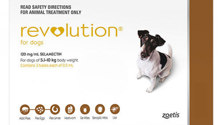 Revolution For Small Dogs 5.1 To 10 Kg Brown 3 Pack