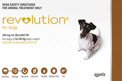 Revolution For Small Dogs 5.1 To 10 Kg Brown 3 Pack