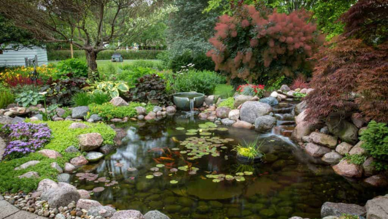 Why Koi Pond Installation Should Be Done By Professionals