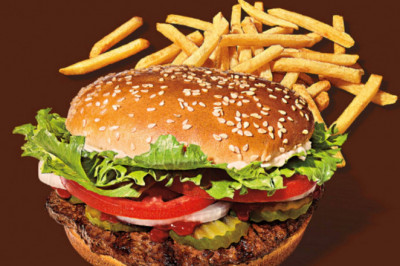 Custom Burger Boxes with Printed Logo & Design in Texas, USA